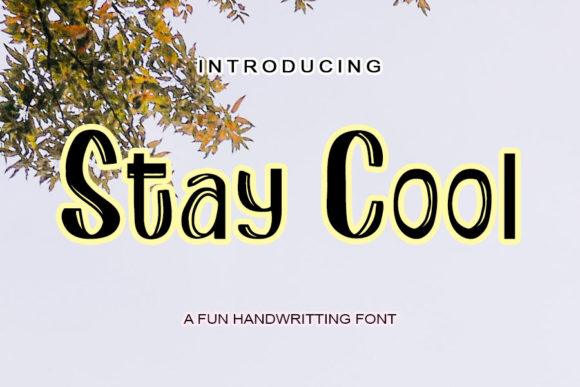 Stay Cool: A Display Font That Makes Your Brand Feel Fresh & Friendly